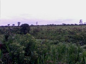 IMG0223A  